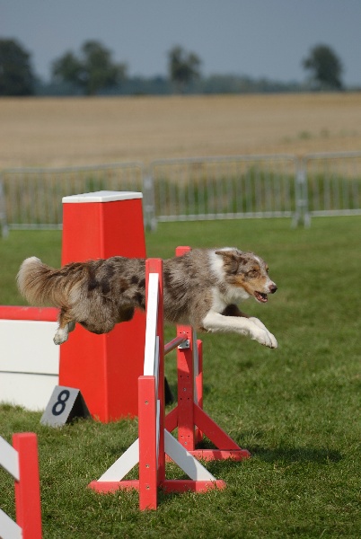 V'wit in the name of love